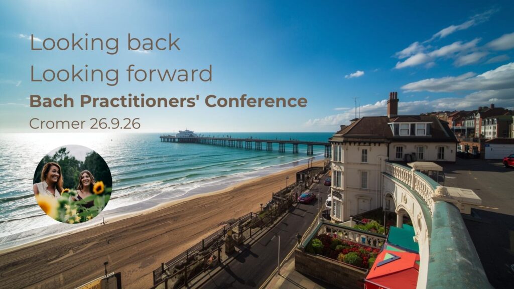 Cromer 26th September 2026