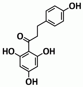 phloretin